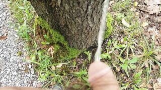 pissing on a tree