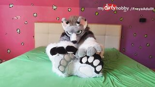 Dirty wolf Paws Pov