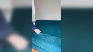 doggy in couch